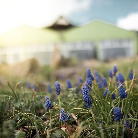 Hotel Froehlich-Hoeche Uslar Bagian luar foto